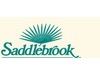   Saddlebrook Resort