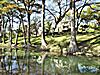   Meyer Bed & Breakfast on Cypress Creek
