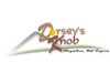   Dorsey Knob Lodge
