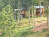   A Mountain Hide-A-Way Lakefront Cabins