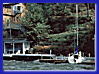   Willow Cove at Claytor Lake