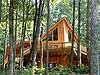   Nevaeh Cabin Rentals
