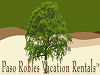   Paso Robles Vacation Rentals