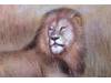   Lion's Den, The