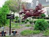   Charlotte Bed & Breakfast