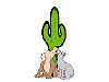   Cactus Critter Sitters, LLC