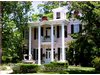   Pink Dolphin Bed & Breakfast, The