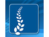Active Health & Wellness Center 