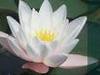   A Spa for You Sedona Day Spa & Massage