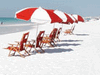   Carter Beach Properties