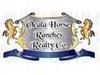 Terri Kitchens - Ocala Horse Ranches Realty Co.