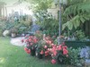  A-White Jasmine Inn
