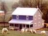   Monsour Sheep Farm and Vacation Homes