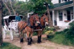   Farm by the River B&B with Stables
