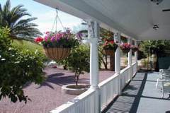   Big Blue House - Tucson Bed and Breakfast
