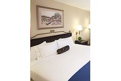   Holiday Inn Express Hotel & Suites - Marina