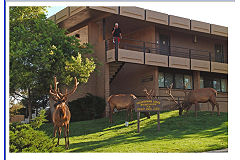 Thunderbird Lodge
