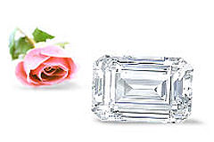Diamond Den Gallery