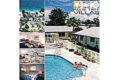   An Island Getaway at Palm Tree Villas