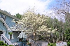   Lonesome Dove Bed and Breakfast