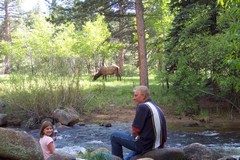   Swiftcurrent Lodge
