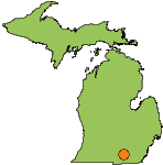 Cement City, Michigan